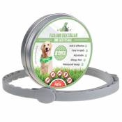 Produits pour animaux de compagnie - Collier pour chien anti-puces avec peigne anti-puces, collier pour chien étanche réglable, huile essentielle de