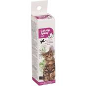 Animallparadise - Catnip en spray de 25 ml pour votre