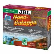 JBL Nano-Catappa, Feuilles de badamier pour petits