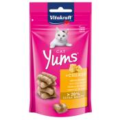 3x40g Vitakraft Cat Yums fromage - Friandises pour
