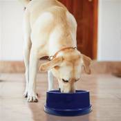 Bol gamelle rafraîchissant pour chien et chat - K&H Cooling bowl - 1 litre - Bleu