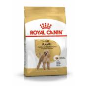 Royal Canin - Croquettes Caniche Adulte : 1,5 kg