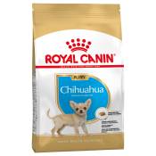 3x1,5kg Chihuahua Puppy/Junior Royal Canin - Croquettes