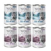 Lot mixte Wolf of Wilderness Junior Free Range pour chien - lot mixte 6 x 400 g : canard, saumon