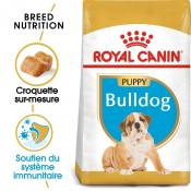 Royal Canin Bulldog Anglais Puppy - Croquettes pour