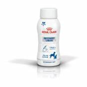 Royal Canin Vdiet Cat Dog Recovery Liquid - 3 x 200 ml