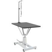 Inlife - Table Toilettage Ajustable Hydraulique pour