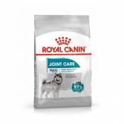 Royal Canin Maxi Joint Care - Croquettes pour chien-Maxi