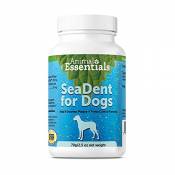 Animal Essentials Sea Dent for Dogs 70 gm | Kelp and