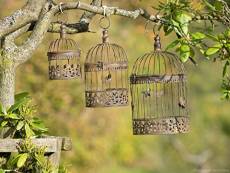 aubaho Lot de 3 Cages à Oiseau décorative - Style