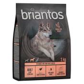 Briantos Adult Light/Sterilised dinde & pommes de terre