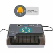 Couveuse Automatique 12 oeufs, Incubateur Intelligent Numérique pour Volaille - Contrôle de la température - Lumière LED - Gris