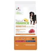 12 kg de nourriture pour chien Natural Trainer Sensitive No Gluten Adult Med/Max Lamb