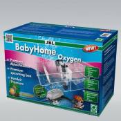Babyhome oxygen