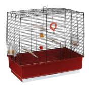 Cages pour canaris, perruches et oiseaux exotiques