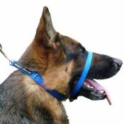 Canny Collar for Dogs - Blue (Size: Size 6)