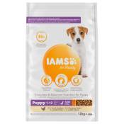 Lot IAMS Advanced Nutrition 2 x 12 kg - Puppy Small