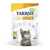 14x85g Yarrah Bio Filets en sauce poulet - Pâtée pour chat