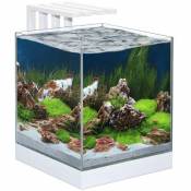 Aquarium Nexus Design Équipé de led + Filtre - Ciano