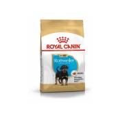 Nourriture que le chiot Royal Canin Rottin rottweiler (Junior) chiots (jusqu'� 18 mois) - 2 x 12 kg