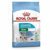 Royal Canin Starter Mini
