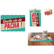 Sud Trading - Tapis pour Animaux 60 x 40 cm - Pacha