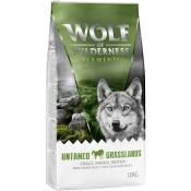Wolf of Wilderness Elements "Untamed Grasslands" cheval - sans céréales - 2 x 12 kg