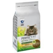 6kg Natural Vitality Adult 1+ poulet, dinde Perfect