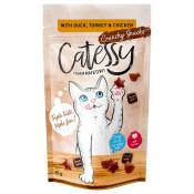 15x65g canard, dinde, poulet Crunchy Snacks Catessy Friandises pour chat : -15 % !