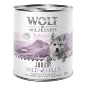 24x800g Junior Wild Hills, canard, veau Wolf of Wilderness