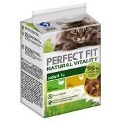 6x50g Natural Vitality Adult poulet, dinde Perfect