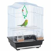 Cage à oiseaux avec accessoires, HxLxP: 49,5x35x32