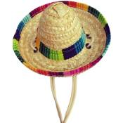 Chapeau de paille pour animal domestique drôle mexicain