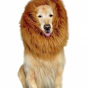 Crinière de lion pour chien - Costume de crinière