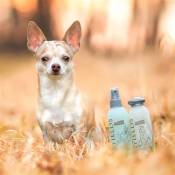 Greenfields Shampoing et spray pour chiens pour soin