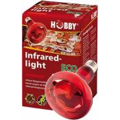 Hobby - Infraredlight Eco, spot halogène à infrarouge