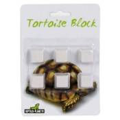Reptiles Planet - Blocs de Calcium Tortoise Block pour Tortue Terrestre - x6
