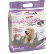 10 tapis anti-odeurs Absorbipiù absorbants en charbon de bois avec coins adhésifs pour chiens 60x60cm