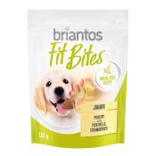 3x150g Briantos FitBites Junior volaille, pommes de terre, fraises - Friandises pour chien
