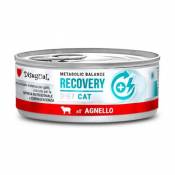 Nourriture humide Lamb Recovery pour Chats 85 gr Disugual