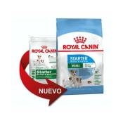 Nourriture que Royal Canin Mini Starter pour les mЏres et les petits chiots - 1kg