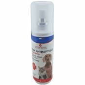 Spray Antiseptique 100 ml, pour chats et chiens Animallparadise Multicolor