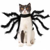 Costume d'araignée pour animaux de compagnie m