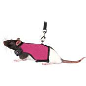 Animallparadise - Harnais doux avec laisse 1,2 m , pour rats couleur aléatoire Multicolor