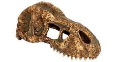 Exoterra - cachette t-rex skull - small