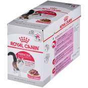 Royal Canin - fhn Instinctive - nourriture humide pour
