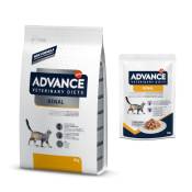 8kg Renal Veterinary Diets Advance croquettes pour chat + 12x85g Renal Veterinary Diets Advance nourriture humide pour chat