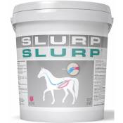 Slurp aliment complémentaire en poudre pour chevaux à base de psyllium 10 kg