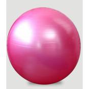Ballon d'exercice Ballon de yoga extra-épais, ballon de stabilité anti-éclatement pour un usage intensif, capacité de charge maximale robuste, ballon