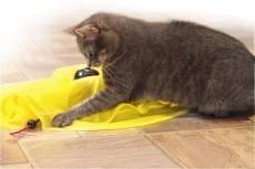 Cat's miaou le jeu sous forme de tapis souris pour chat vu à la télé